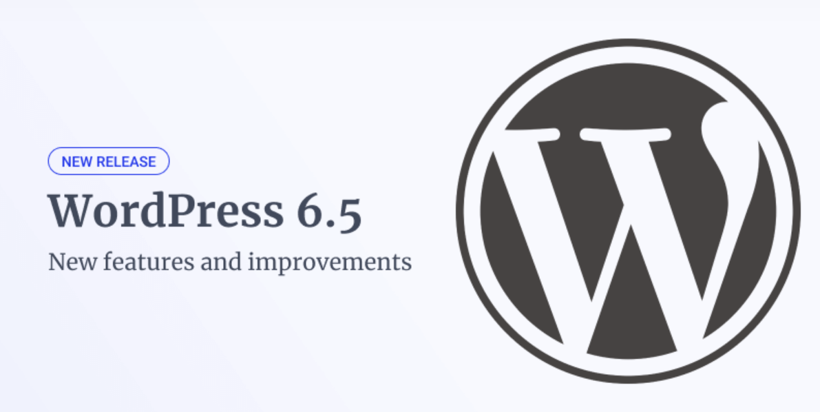 Latest WordPress 6.5 Features