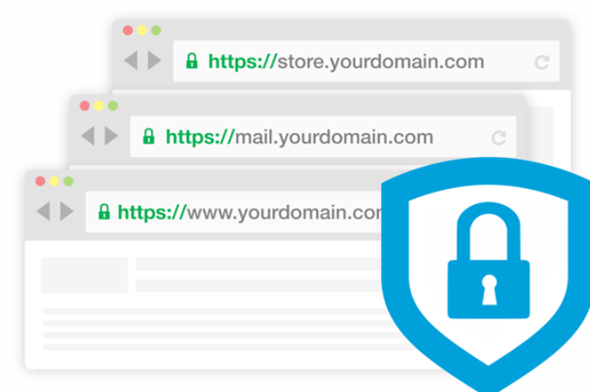 Guide to Understanding SSL Certificates