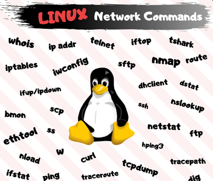 Key Linux Commands You Need to Know