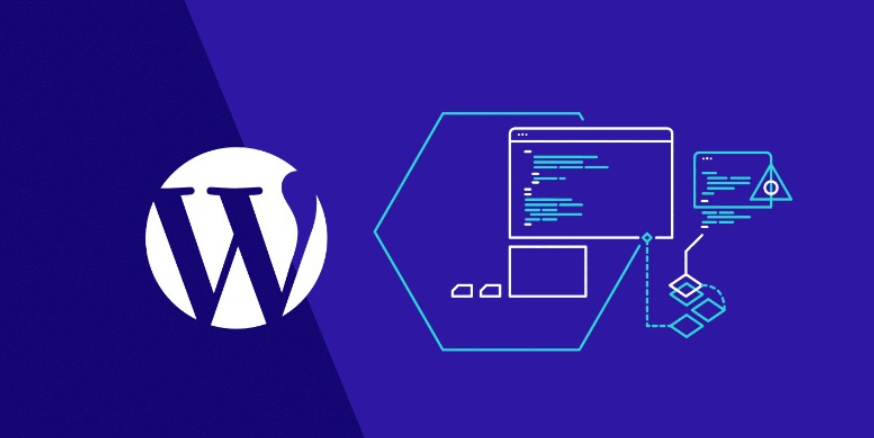 Best Content Protection Plugins