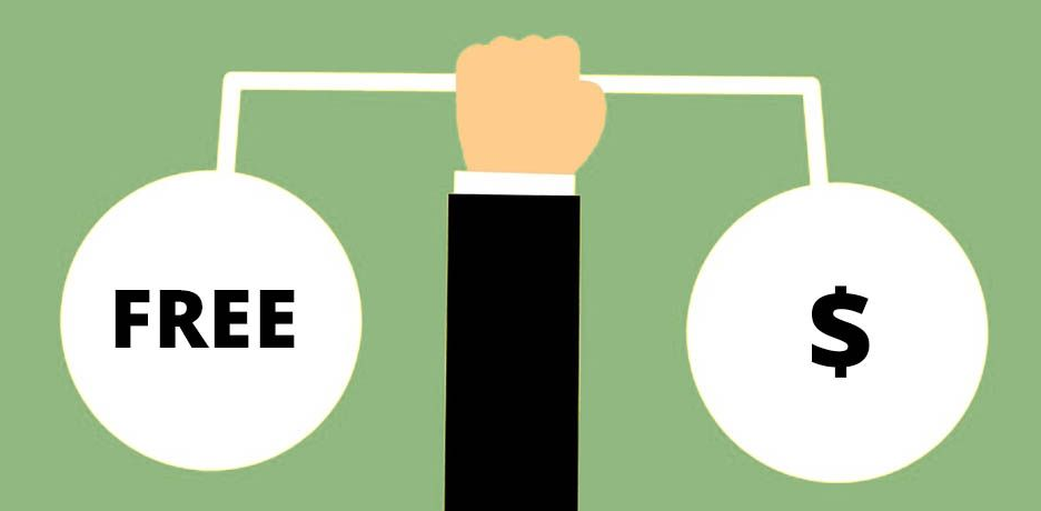 Free vs Premium WordPress Themes