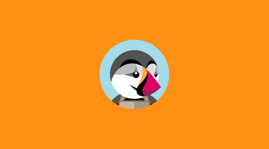 PrestaShop Basics What You Need to Know About Modules