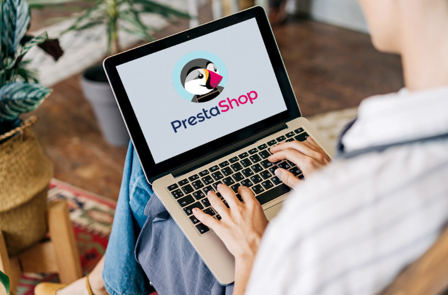 PrestaShop Basics What You Need to Know About Modules